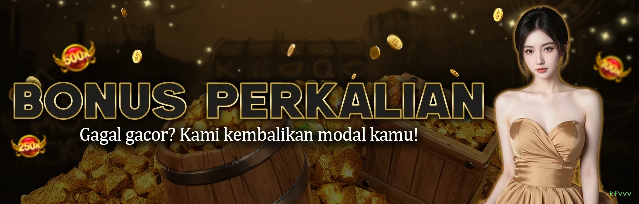 kfvvv Provedores Premium